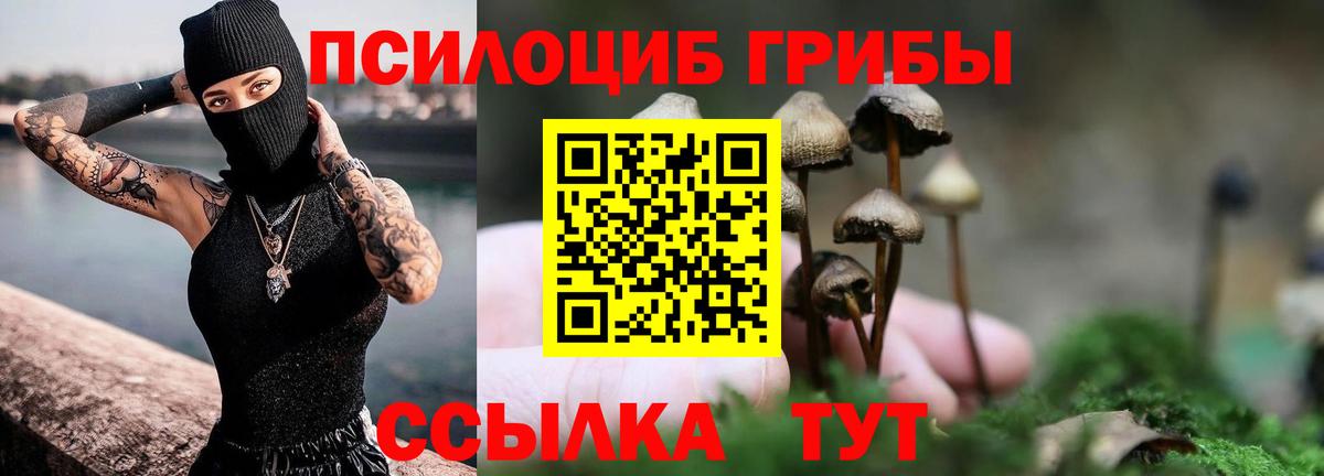 Псилоцибиновые грибы Psilocybe  Вход с VPN  Пугачёв 